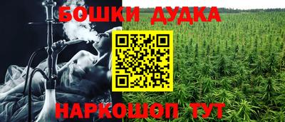 сатива Камышлов