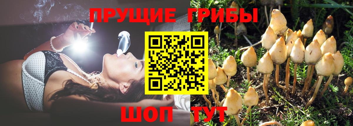 Ликино-Дулёво  Галлюциногенные грибы Cubensis  Вход с VPN 
