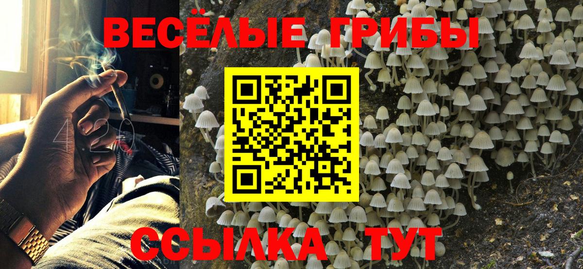 Псилоцибиновые грибы MAGIC MUSHROOMS Ликино-Дулёво